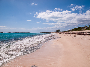 Beach, Guana Key, Bahamas